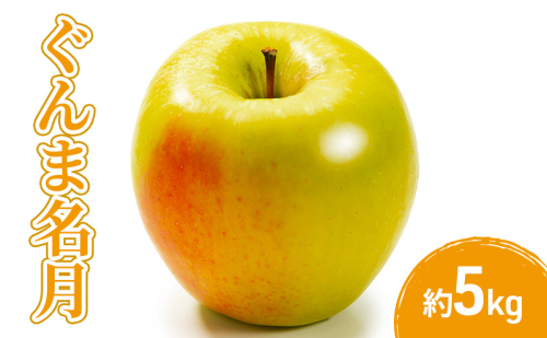2026年産先行予約ぐんま名月5kg 果物 フルーツ りんご 長野県 2447655 - 長野県長野市