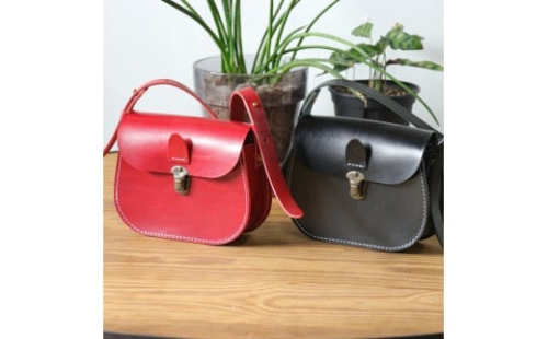 【選べるカラー】SB-02 ミニショルダーバッグ 2447827 - 和歌山県有田川町