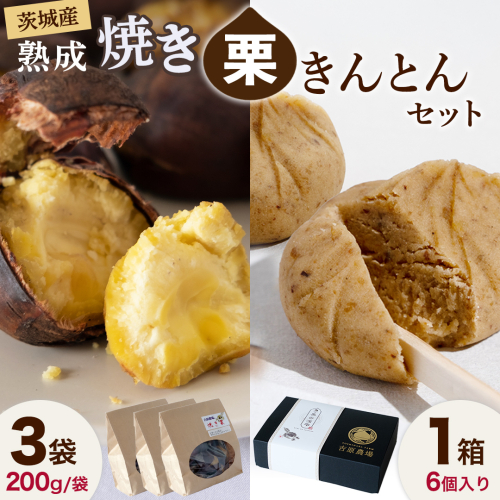 【 吉原農場 の 完熟栗 】 熟成 焼き栗 3袋・栗きんとん 1箱 セット 令和7年産 栗の深雫 完熟  くり クリ 栗ごはん おかし お菓子 果物 フルーツ 数量限定 旬 秋 冬 正月 おせち [CX025ci] 2447835 - 茨城県筑西市