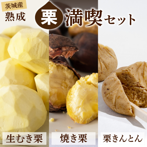 【 吉原農場 の 完熟栗 】熟成 栗 満喫 セット 令和7年産 栗の深雫 完熟  生むき栗 焼き栗 栗きんとん くり クリ 栗ごはん おかし お菓子 果物 フルーツ 数量限定 旬 秋 冬 正月 おせち [CX026ci] 2447836 - 茨城県筑西市