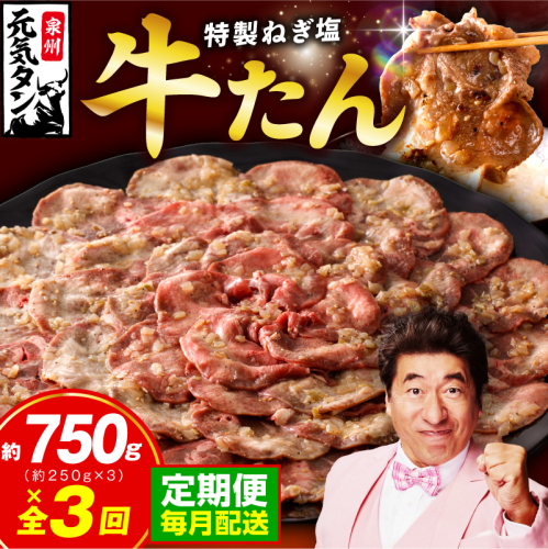 【定期便】ねぎ塩 牛たん 750g 全3回 【毎月配送コース 牛タン 牛肉 焼肉用 薄切り 訳あり サイズ不揃い】 099Z459 2447872 - 大阪府泉佐野市
