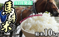 [ 2026年 12月中旬より発送] 岩手県産 馬耕米 あきたこまち 精米 10kg [スタディア] 新米 白米 お米 米 こめ コメ 馬ふん堆肥 使用 ご飯 ごはん ライス おにぎり 弁当 単一原料米 10キロ 10kg 馬耕 馬 ウマ うま 産地直送 国産 おすすめ 人気 自宅用 家庭用 仕送り プレゼント 常温 常温発送