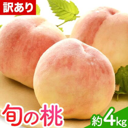 訳あり和歌山の桃 約4kg 岸武青果株式会社《2026年6月下旬-8月末頃出荷》 和歌山県 紀の川市 桃 ご家庭用 もも モモ 果物 フルーツ 2447981 - 和歌山県紀の川市