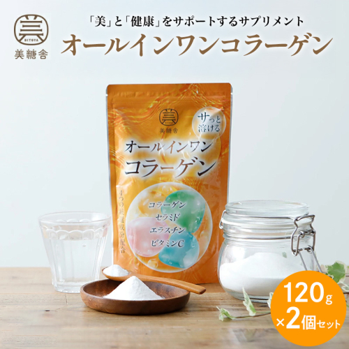 オールインワンコラーゲン 120g 2個セット FY25-416 2448046 - 山形県山形市