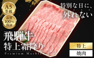 ≪品質100%保証≫　A5等級飛騨牛 特上　霜降り焼肉 300g