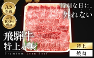 ≪品質100%保証≫　A5等級飛騨牛 特上　赤身焼肉 300g