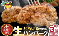 生ハンバーグ 360g (120g×3個)