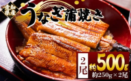 国産蒲焼きうなぎ ２５０ｇ ２尾 計５００ｇ fb-0167