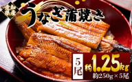 国産蒲焼きうなぎ ２５０ｇ ５尾 計１２５０ｇ fb-0170