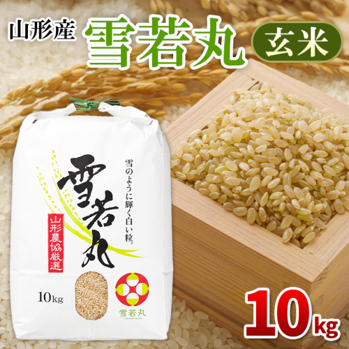 山形産 雪若丸 玄米 10kg FZ26-851 2448208 - 山形県山形市