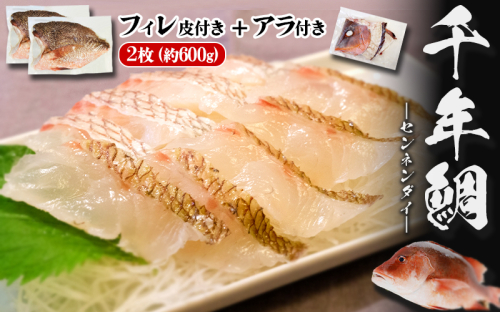 C3-7707／康秀の千年鯛 フィレ 2柵（皮つき・計約600g）＋アラ付（頭・中骨） 2448218 - 鹿児島県垂水市