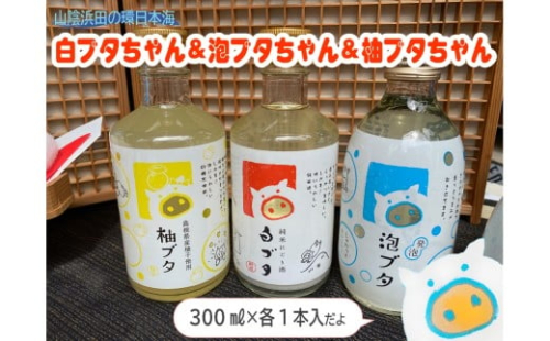 山陰浜田の環日本海白ブタちゃん＆泡ブタちゃん＆柚ブタちゃんセット 【026_2040】 2448234 - 島根県浜田市