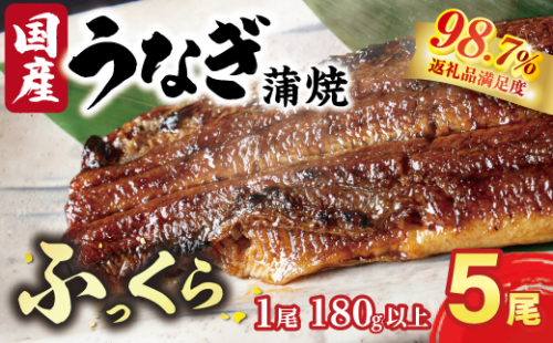 国産うなぎ　備長炭地焼き蒲焼き180g以上×5尾　タレ付き×10【FU05W】 2448249 - 滋賀県近江八幡市