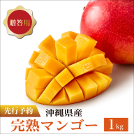 マンゴー1kg　贈答用
