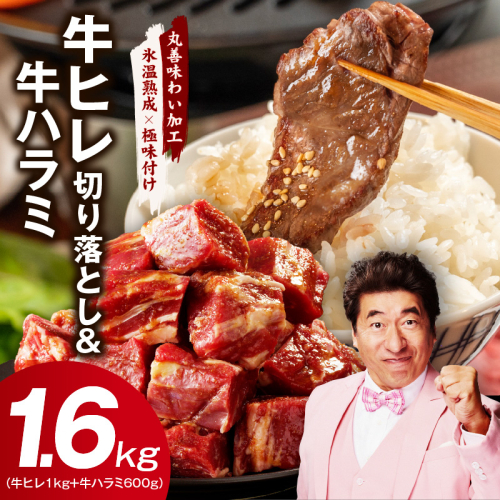 【氷温熟成×特製ダレ】牛ヒレ 1kg＋牛ハラミ 600g 合計1.6kg【味付き 訳あり サイズ不揃い 小分け】 mrz0313 2448266 - 大阪府泉佐野市