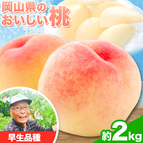 【先行予約】【6月中旬-7月上旬頃出荷】桃 早生品種 2kg もも 岡山 はなよめ 白川白鳳 岡山県 笠岡市 送料無料 果物 フルーツ お取り寄せ 2448308 - 岡山県笠岡市