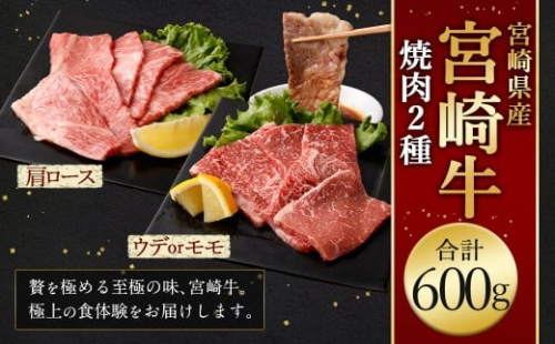 ＜宮崎牛焼肉2種（赤身霜降り） 計600g＞2026年2月上旬より順次出荷 300g×2パック お肉 肉 宮崎牛 牛肉 赤身 肩ロース ロース モモ ウデ 焼き肉 焼肉 BBQ バーベキュー 霜降り 冷凍 宮崎県 高鍋町 2448329 - 宮崎県高鍋町