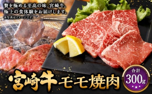 ＜宮崎牛モモ焼肉 300g＞2026年2月上旬より順次出荷 お肉 肉 宮崎牛 牛肉 モモ肉 もも肉 もも モモ 焼肉 焼き肉 BBQ バーベキュー 冷凍 宮崎県 高鍋町 2448331 - 宮崎県高鍋町