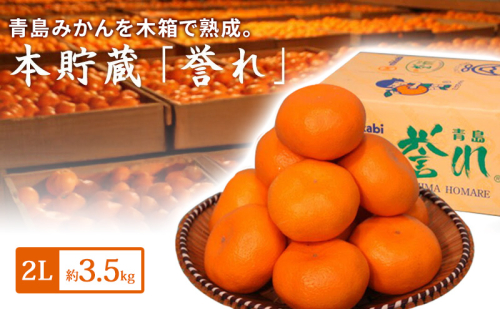 青島三ヶ日みかん 本貯蔵 「誉れ」  2L 約3.5kg （約20個） みかん ミカン フルーツ 果物 静岡 浜松市 2448741 - 静岡県浜松市