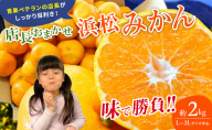 【訳あり】店長おまかせ浜松みかん 約2kg サイズL～2L ミカン 蜜柑 フルーツ  みかん ミカン 三ヶ日 みかん 蜜柑 糖度 静岡 浜松市