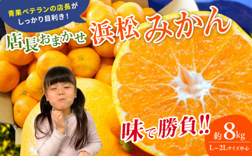 【訳あり】店長おまかせ浜松みかん 約8kg サイズL～2L ミカン 蜜柑 フルーツ  みかん ミカン 三ヶ日 みかん 蜜柑 糖度 静岡 浜松市 2448750 - 静岡県浜松市