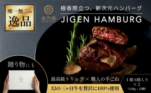 次元ハンバーグ120g×12個 【配送不可：離島】金乃縁 ハンバーグ 冷凍 国産 三ヶ日牛 牛肉 トリュフ風味 ギフト 冷凍食品 惣菜 静岡 浜松市 2448755 - 静岡県浜松市