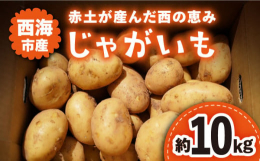 ミネラル分たっぷりの赤土で栽培したホクホクのじゃがいもです。どんな調理にも相性バッチリ！赤土が産んだ西の恵み、西海市産のじゃがいもで食卓に笑顔を飾ってください！長崎 西海 じゃがいも ジャガイモ 芋 