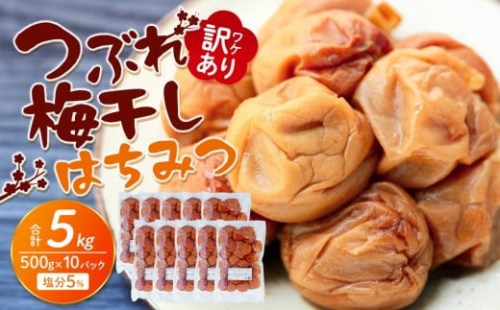訳あり つぶれ 梅干し 500g×10パック 合計5kg はちみつ 塩分 約5％［TR2w］ 2448873 - 和歌山県上富田町