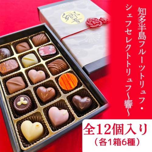 知多半島フルーツトリュフ・シェフセレクトトリュフ 12個　～響～ | 手作り チョコレート トリュフ 詰め合わせ ショコラ チョコ プレゼント バレンタイン ホワイトデー デザート スイーツ ギフト 贈り物 贈答 お祝い 記念日 Chocolate あじさい 愛知県 美浜町※2026年1月中旬～3月中旬頃に順次発送予定 2448984 - 愛知県美浜町