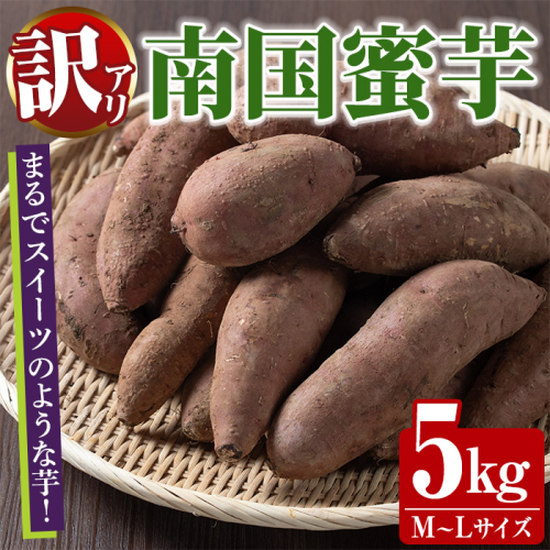 訳あり！数量限定！熟成芋「南国蜜芋」(M〜Lサイズ・5kg) 訳あり 国産 お芋 野菜 デザート 焼芋 焼き芋 焼きいも イモ 紅はるか 大学芋 訳アリ 詰め合わせ【うとさんち】akn067-02 2450924 - 鹿児島県阿久根市