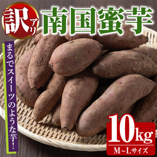訳あり！数量限定！熟成芋「南国蜜芋」(M〜Lサイズ・10kg) 訳あり 国産 お芋 野菜 デザート 焼芋 焼き芋 焼きいも イモ 紅はるか 大学芋 訳アリ 詰め合わせ【うとさんち】akn067-07 2450929 - 鹿児島県阿久根市