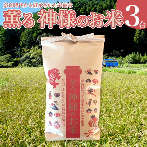 ＜薫る神様のお米 奉納米 縁起米 約3合×1袋＞希少米 香り米 奇跡の復活 ふさなり 栽培期間中、化学農薬化学肥料不使用 2451089 - 高知県佐川町