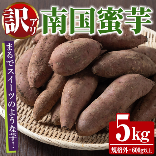 訳あり！数量限定！熟成芋「南国蜜芋」(規格外サイズ・5kg) 訳あり 国産 お芋 野菜 デザート 焼芋 焼き芋 焼きいも イモ 紅はるか 大学芋 訳アリ 詰め合わせ【うとさんち】akn067-23 2451090 - 鹿児島県阿久根市