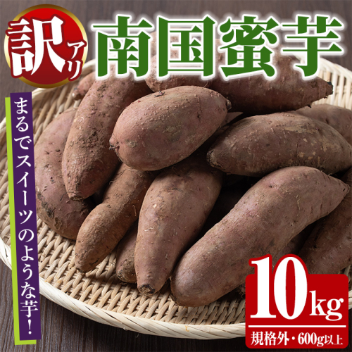 訳あり！数量限定！熟成芋「南国蜜芋」(規格外サイズ・10kg) 訳あり 国産 お芋 野菜 デザート 焼芋 焼き芋 焼きいも イモ 紅はるか 大学芋 訳アリ 詰め合わせ【うとさんち】akn067-24 2451180 - 鹿児島県阿久根市