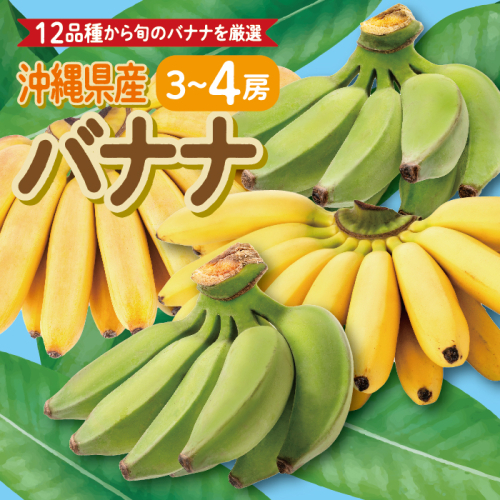 高原の駅なんじょうバナナ3～4房（12品種から旬のものを詰合せ）   I  バナナ 詰め合わせ 旬フルーツ 果物   沖縄県 南城市 ふるさと納税 高原の駅なんじょう 2451192 - 沖縄県南城市