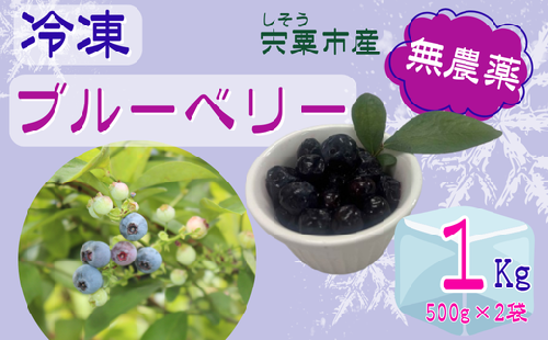 K11　しそうの “ 冷凍 ” ブルーベリー　1kg（500ｇ×2）【 無農薬 冷凍 フローズン アイス ブルーベリー 果物 フルーツ 産地直送 国産 大容量 】 2451311 - 兵庫県宍粟市