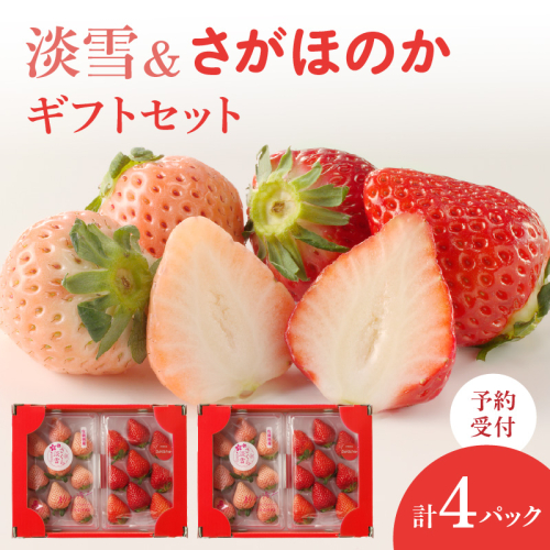 ★予約受付★杉山いちご農園 希少！白いちご「淡雪（あわゆき）」と「さがほのか」DX ギフトセット　2026年1月～5月中に順次配送 2451983 - 佐賀県玄海町