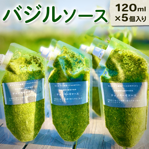 バジルソース (120ml×5個入り)｜トースト 調味料 イタリアン ピザ ジェノベーゼ 奈良県産 [3214] 2452186 - 奈良県香芝市