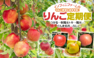 [令和8年産先行予約][5回定期便]りんご好きにおすすめ!インフィニファームのりんご定期便 鶴岡市櫛引産