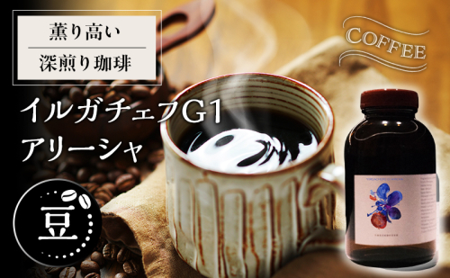 【豆】薫り高い深煎り珈琲イルガチェフ G1 アリーシャ 2452831 - 福井県若狭町