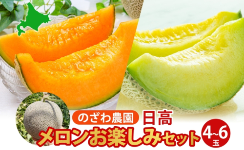 【2026年発送 先行予約】のざわ農園 日高 赤肉メロン 4～6玉 約8kg～9kg めろん メロン 赤い 甘い 夏 フルーツ 果実 ルピアレッド 糖度 甘み 濃厚 肥料 贈り物 お中元 お歳暮 常温 家族 デザート のざわ農園 北海道 日高町 2452883 - 北海道日高町