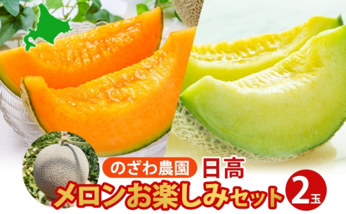 【2026年発送 先行予約】のざわ農園 日高 赤肉メロン 2玉 めろん メロン 赤い 青い 甘い 夏 フルーツ 果実 ルピアレッド 糖度 甘み 濃厚 肥料 贈り物 お中元 お歳暮 常温 冷蔵庫 家族 デザート のざわ農園 北海道 日高町 2452884 - 北海道日高町