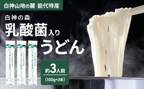 うどん 白神の森乳酸菌入りうどん 100g（約1人前）×3束 麺 乾麺 鍋 冷たい 温かい ざるうどん 鍋の締め  腸活 乳酸菌 2452888 - 秋田県能代市