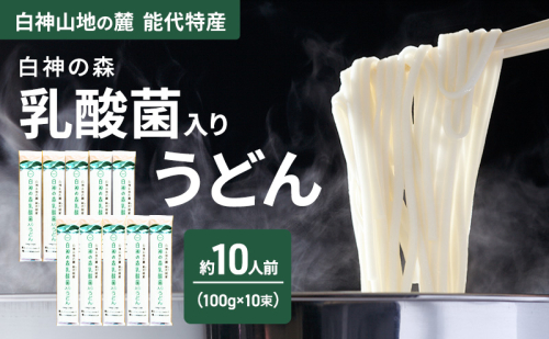 うどん 白神の森乳酸菌入りうどん 100g（約1人前）×10束 麺 乾麺 鍋 冷たい 温かい ざるうどん 鍋の締め 腸活 乳酸菌 2452889 - 秋田県能代市