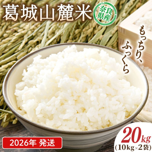 先行予約 葛城山麓米 ヒノヒカリ（白米）計20kg [ 10kg×2袋 ] 令和8年産 【2026年10月下旬～順次発送】／ スマイル葛城農業 精米 ごはん お米 米 おいしい ふっくら 農家直送 奈良県 葛城市【smlk014A】 2453839 - 奈良県葛城市