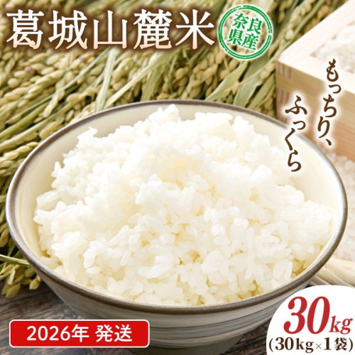 先行予約 葛城山麓米 ヒノヒカリ（白米）計30kg [ 30kg×1袋 ] 令和8年産 【2026年10月下旬～順次発送】／ スマイル葛城農業 精米 ごはん お米 米 おいしい ふっくら 農家直送 奈良県 葛城市【smlk015A】 2453842 - 奈良県葛城市