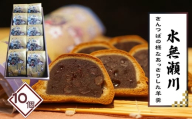 水無瀬川　10コ ／ 菓子 和菓子 ようかん ヨウカン 羊羹 きんつば 焼菓子 こだわり ご進物 ご贈答 ギフト お取り寄せ 大阪府 No.181
