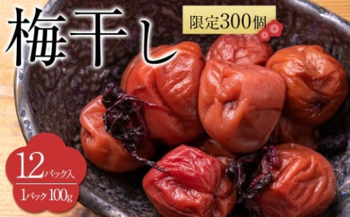 【2026年1月下旬より発送】梅干し 100g 12パック入り 限定300個 2453926 - 宮城県角田市