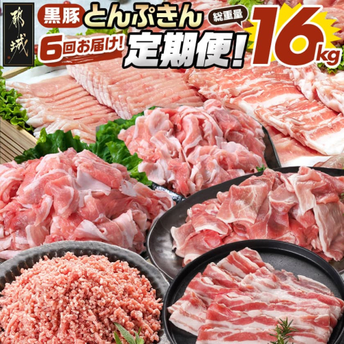 【6回お届け!】「黒豚とんぷきん」定期便≪総重量16kg≫_T90-6-5901 2453957 - 宮崎県都城市