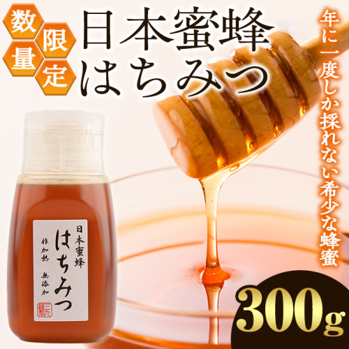 数量限定！日本蜜蜂 はちみつ(300g) 国産 蜂蜜 ハチミツ 日本ミツバチ 非加熱 ハニー ボトル 【三九】akn006-17 2454011 - 鹿児島県阿久根市